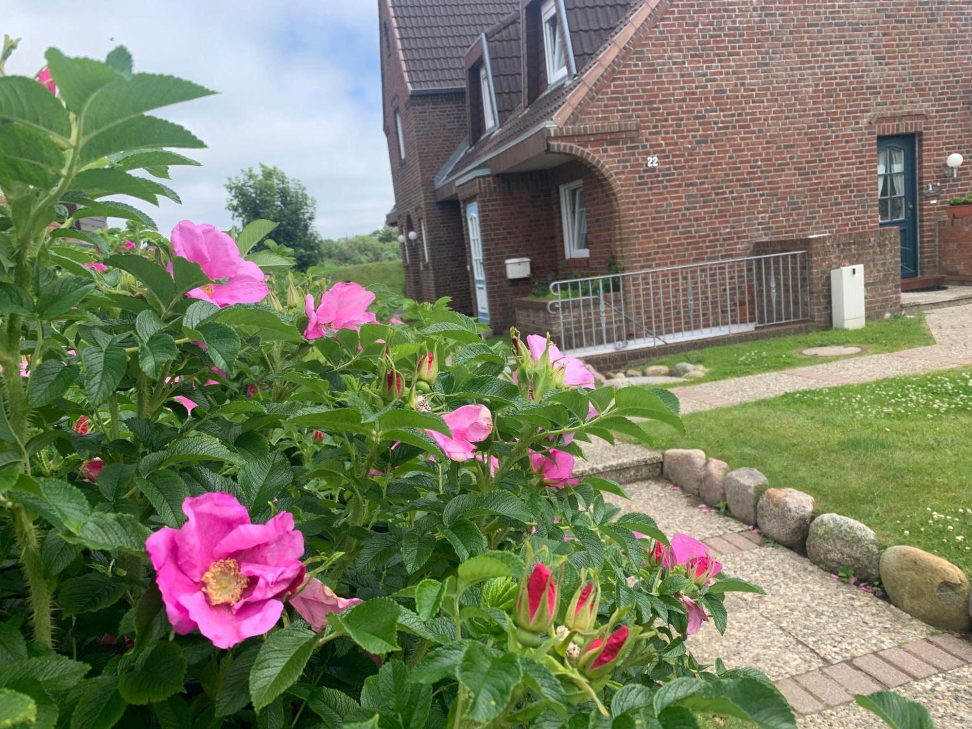 ווסטרלנד Sylter-Rose-3A-Strandnahe-Ferienwohnung-Mit-Strandkorb מראה חיצוני תמונה
